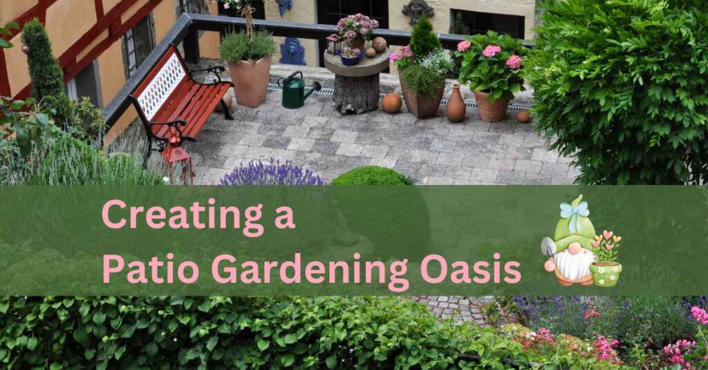 Creating a Patio Gardening Oasis