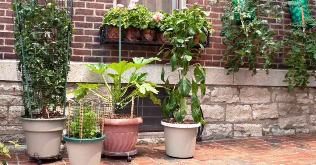 Patio Garden Pots and Containers