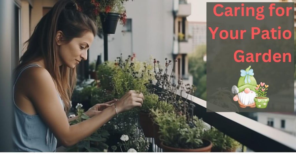 Caring for Your Patio Garden
