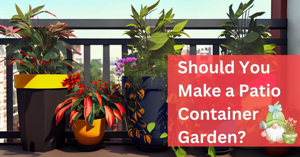 Should You Make A Patio Container Garden?