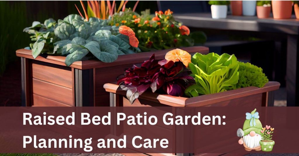 Raised Bed Patio Garden