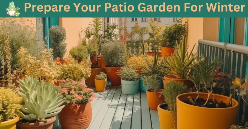 Prepare Your Patio Garden For Winter