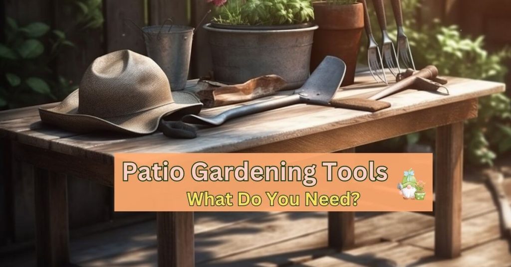 Patio Gardening Tools - What Do You Need?